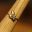 Marina Antoniou Jewellery - Eucalypt Ring – Yellow Gold