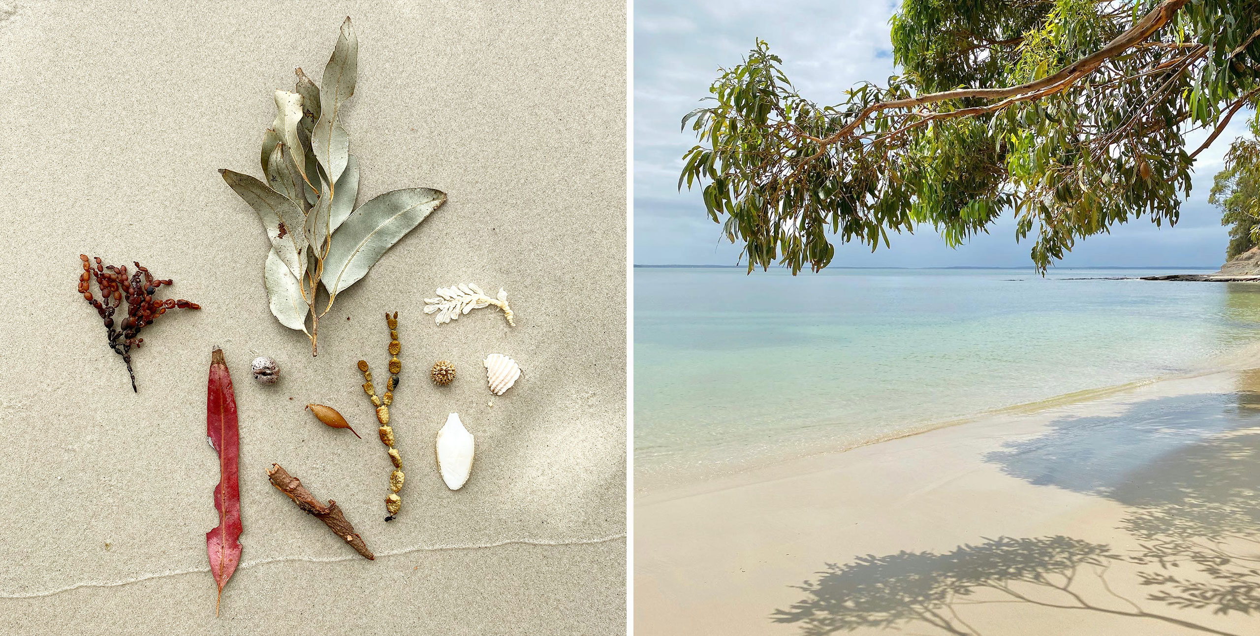 Natural Landscapes of the NSW South Coast - Marina Antoniou Jewellery